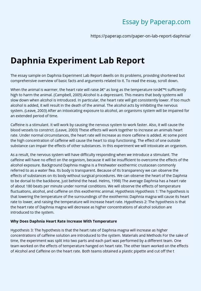 daphnia lab