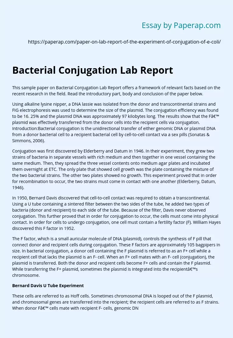 Bacterial Conjugation Lab Report