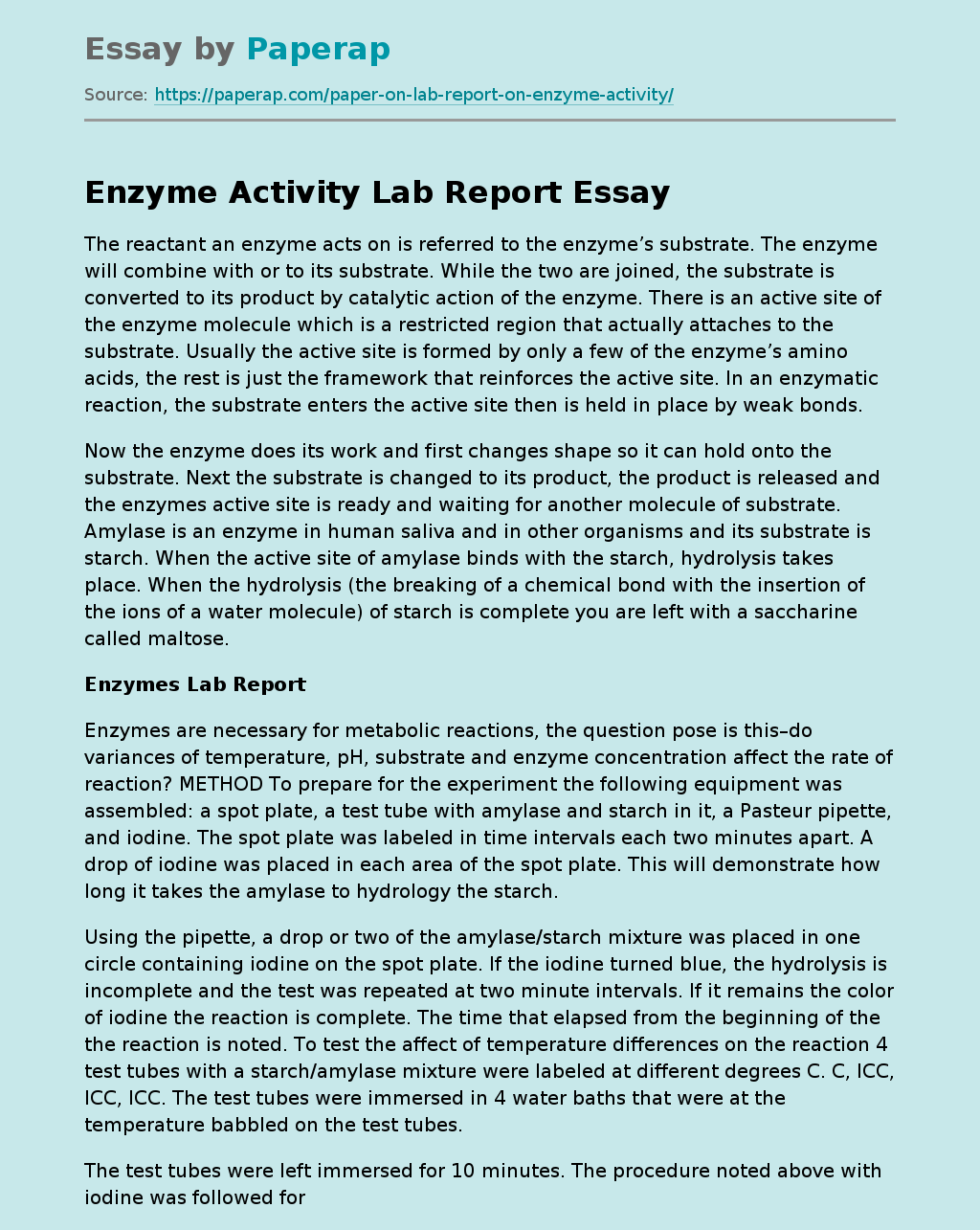 Enzyme Activity Lab Report