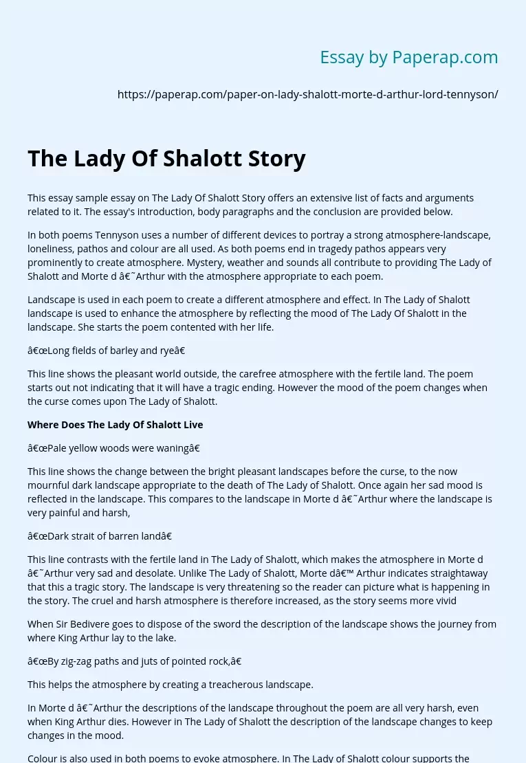 The Lady Of Shalott Story