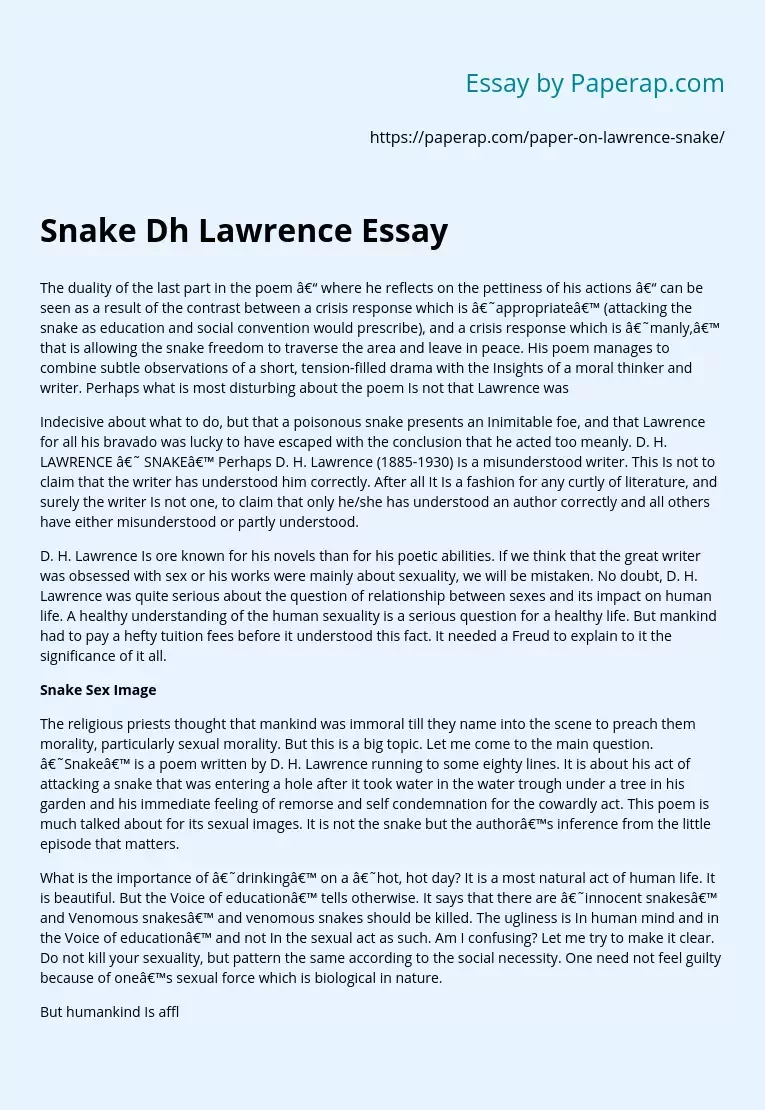 Snake Dh Lawrence Essay