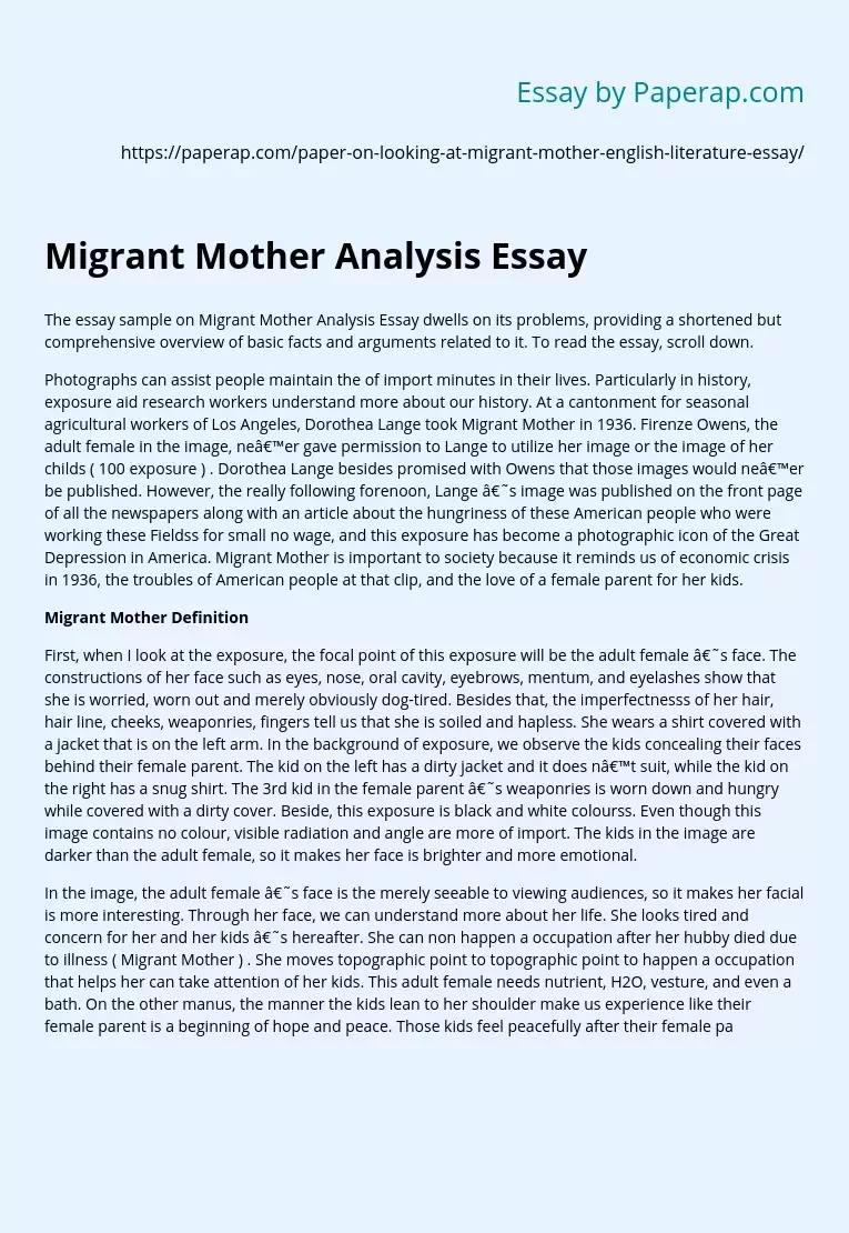Migrant Mother Analysis Essay