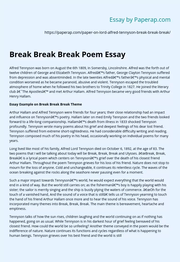 Break Break Break Poem Essay