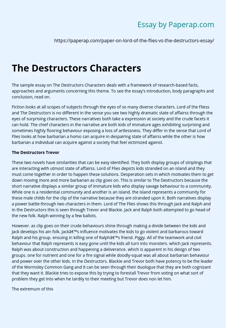 The Destructors Characters