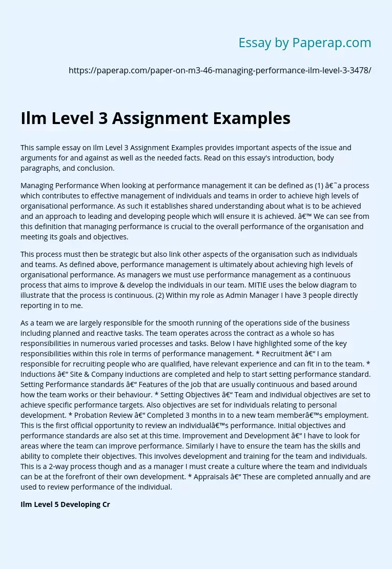 Ilm Level 3 Assignment Examples