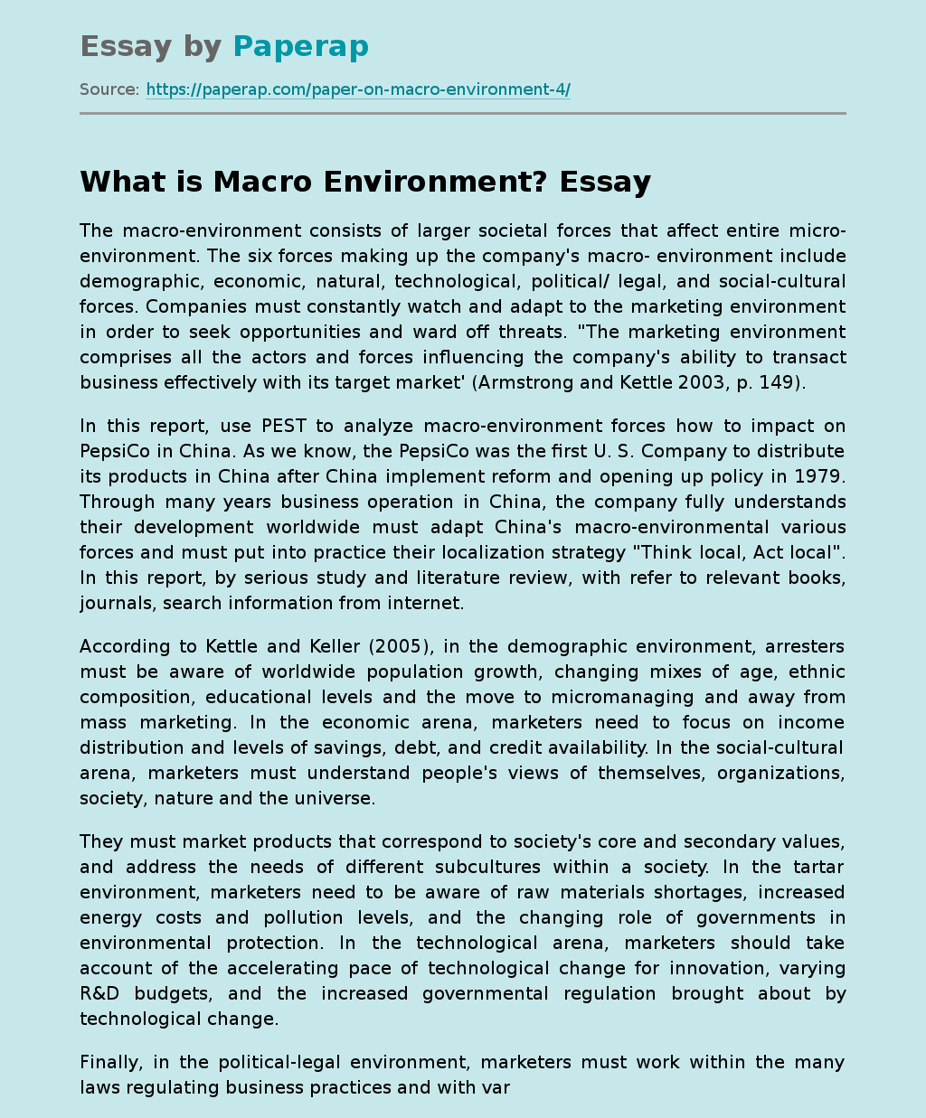 What is Macro Environment?