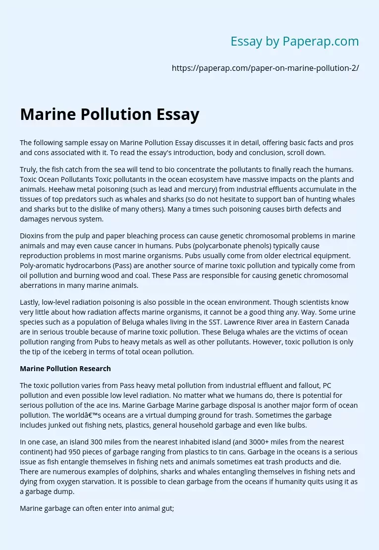 Marine Pollution Essay