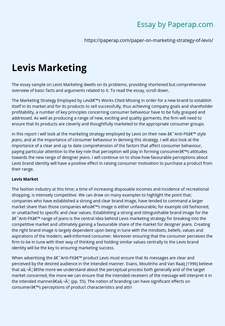 Essay Sample on Levis Marketing