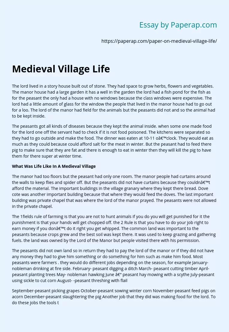 Medieval Village Life Details