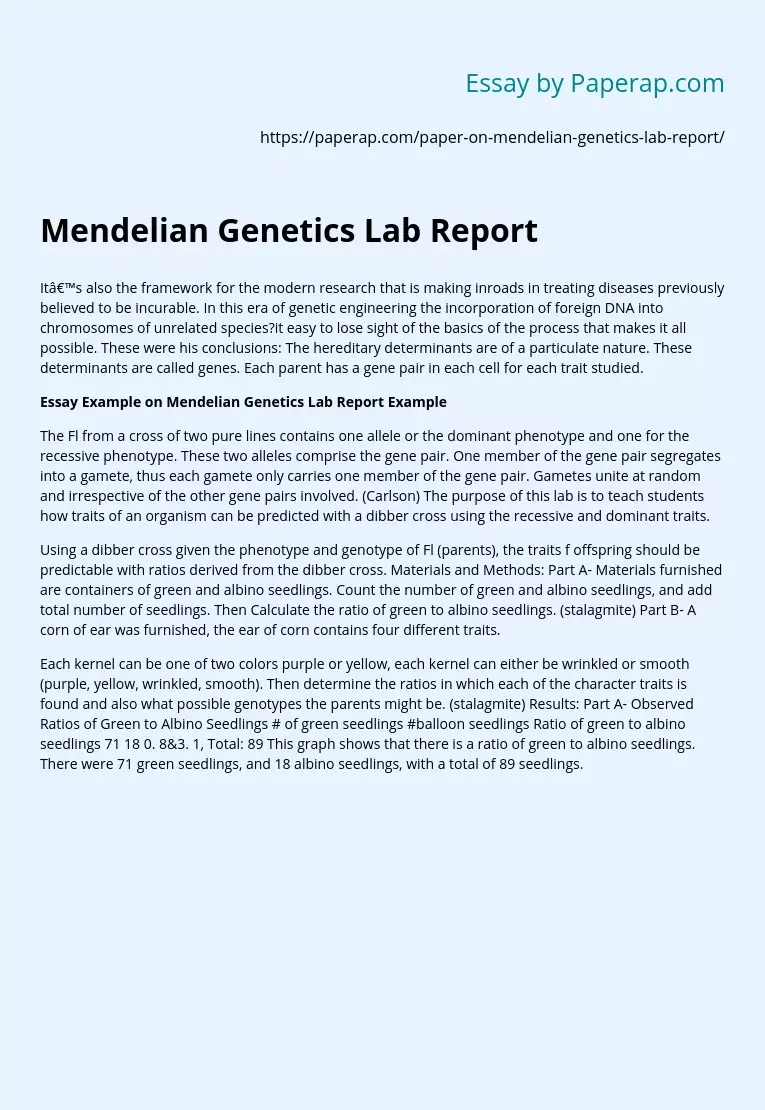 mendelian genetics lab report
