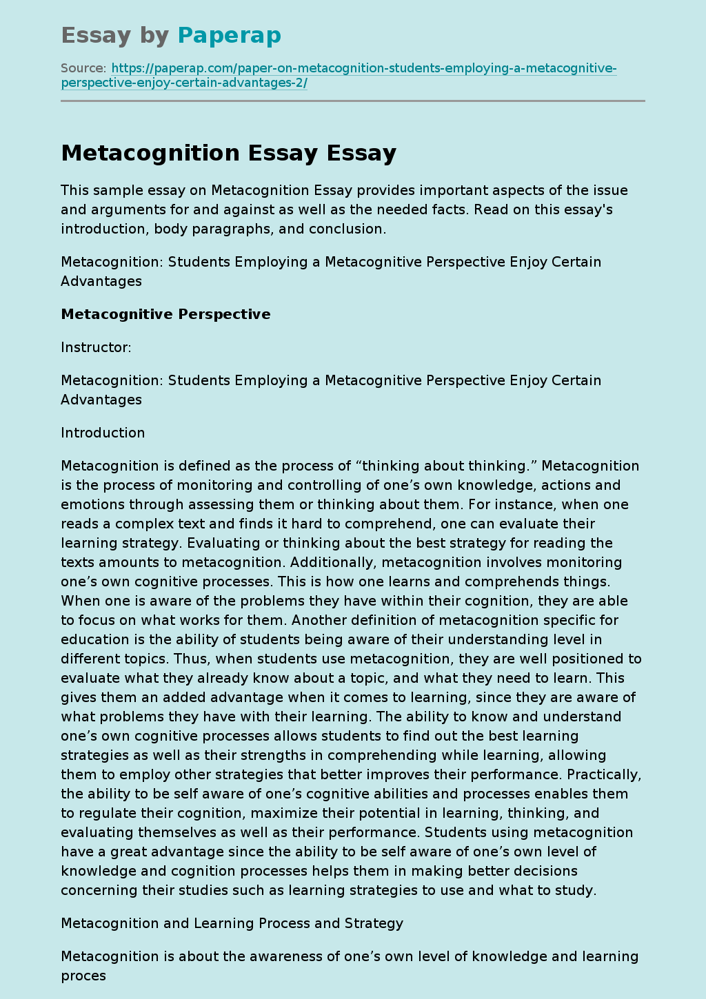 Metacognition Essay