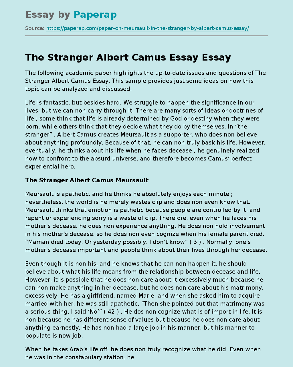 The Stranger Albert Camus Essay