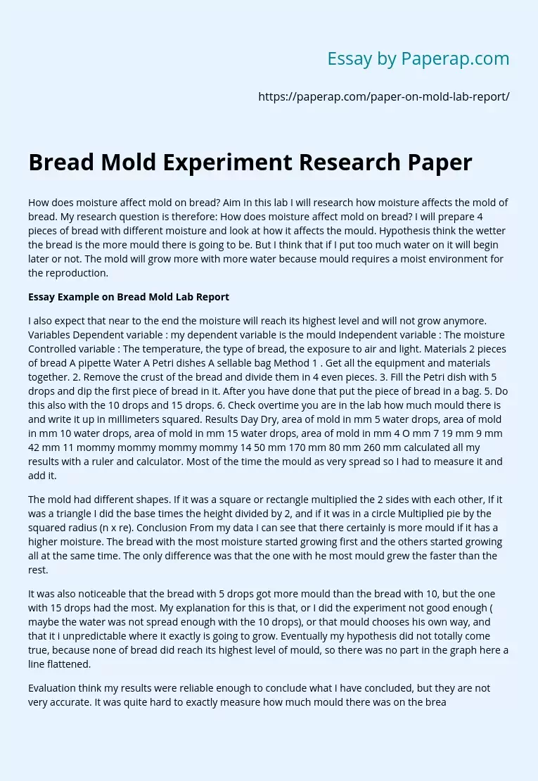 Bread Mold Experiment Research Paper