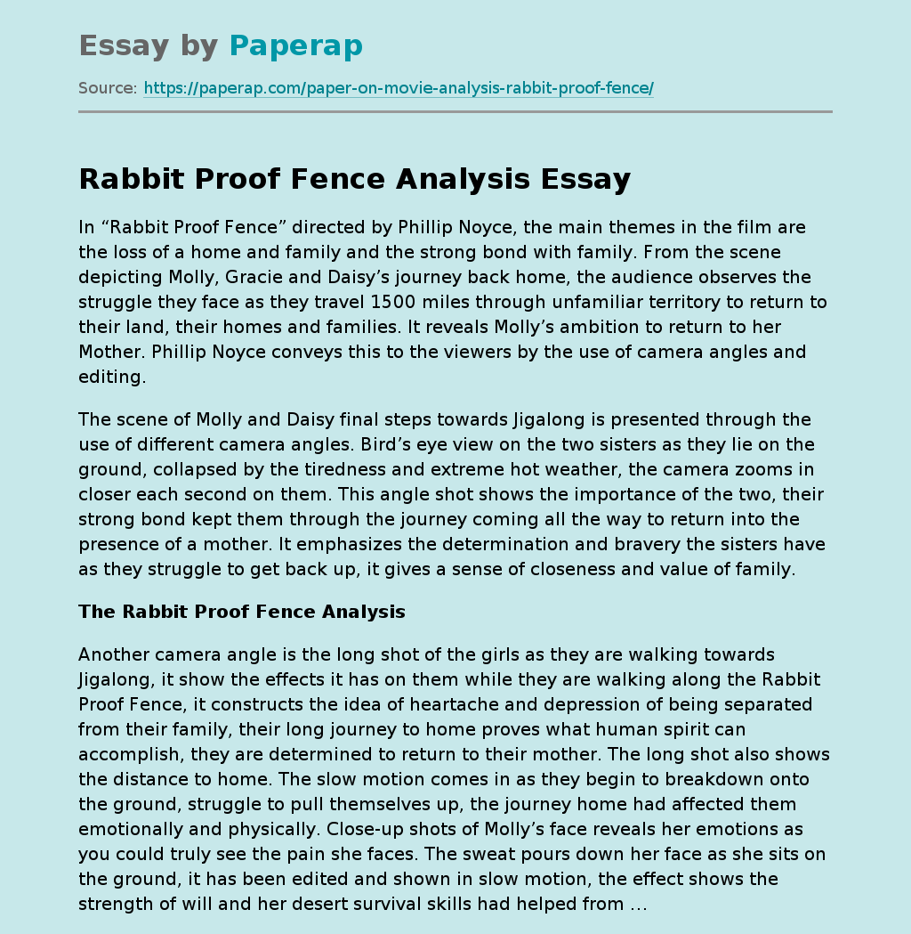 Rabbit Proof Fence Analysis