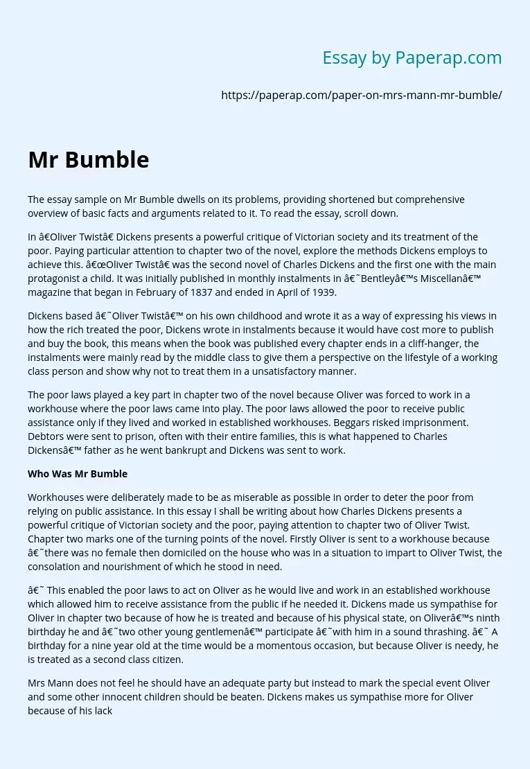 Essay on Mr Bumble's Problems