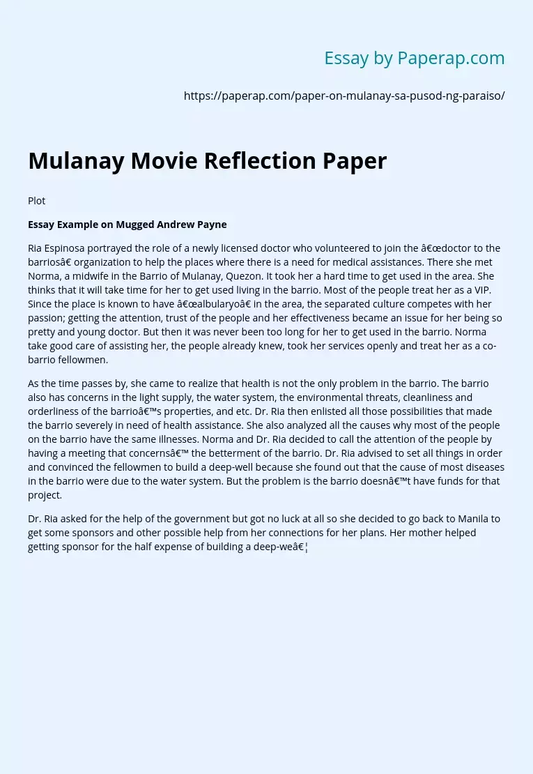 Mulanay Movie Reflection Paper