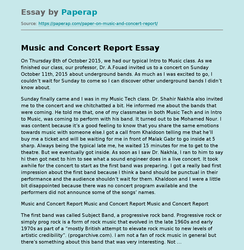Music And Concert Report Free Essay Example