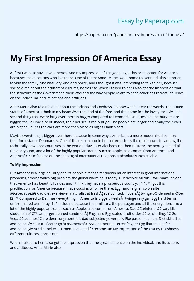 My First Impression Of America Essay