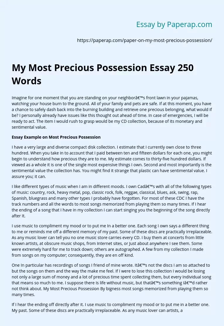 My Most Precious Possession Essay 250 Words