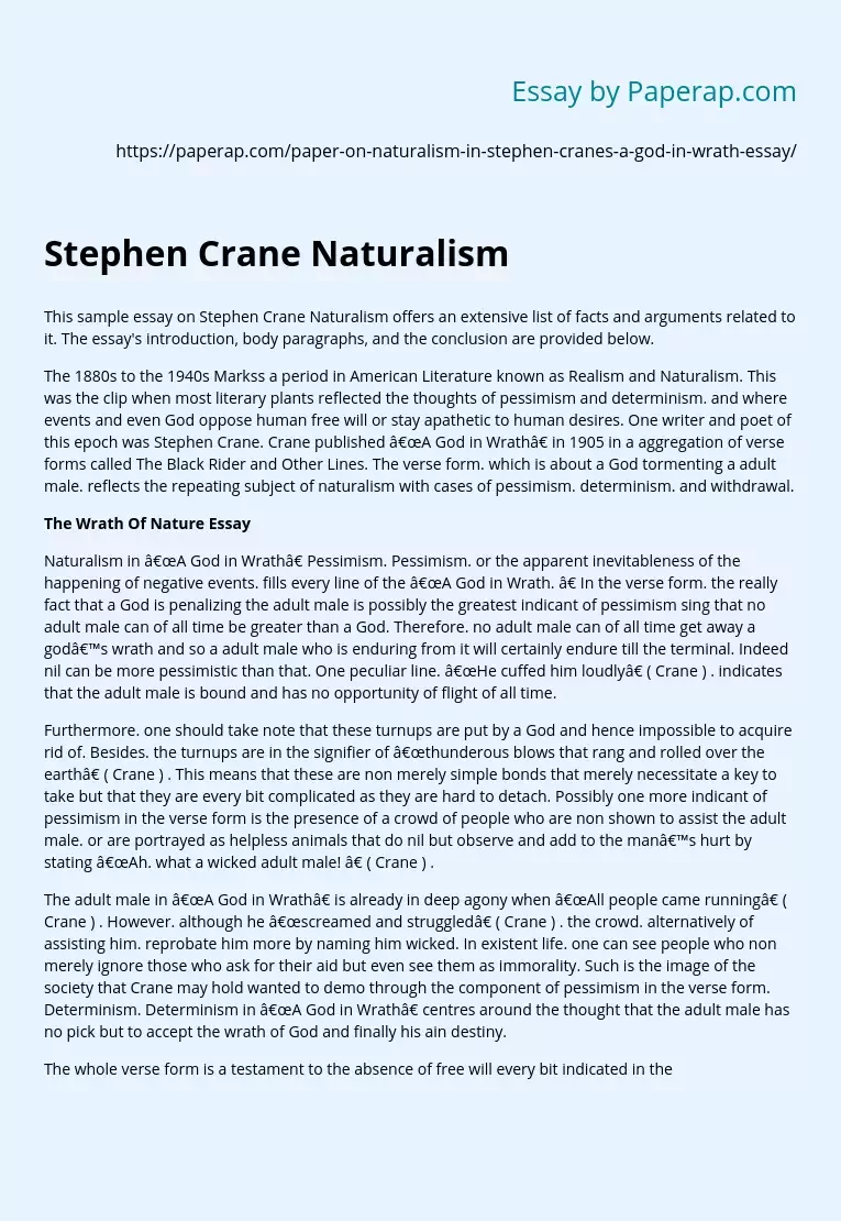 Stephen Crane Naturalism