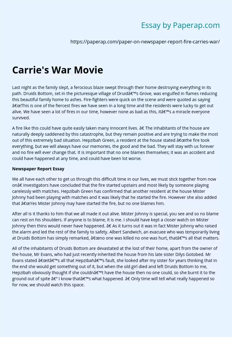 Carrie's War Movie Report Essay