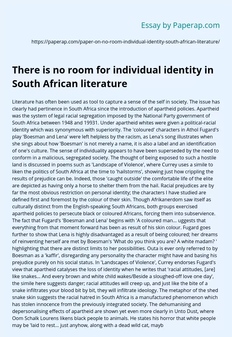 There is no room for individual identity in South African literature