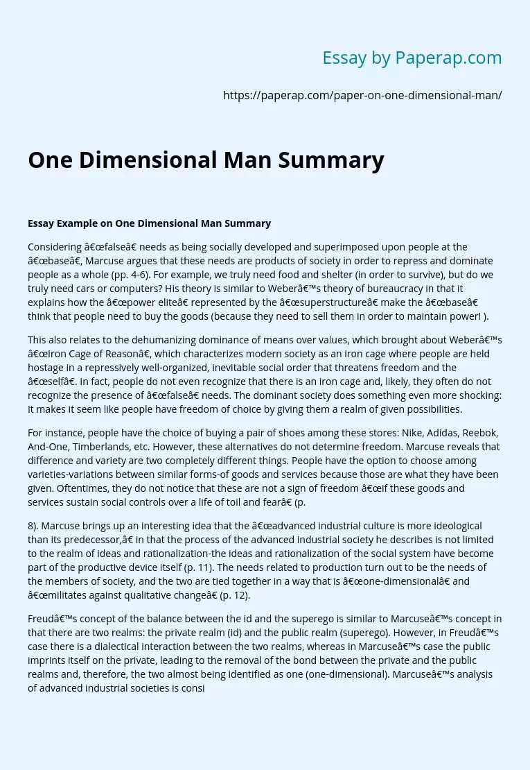 One Dimensional Man Summary