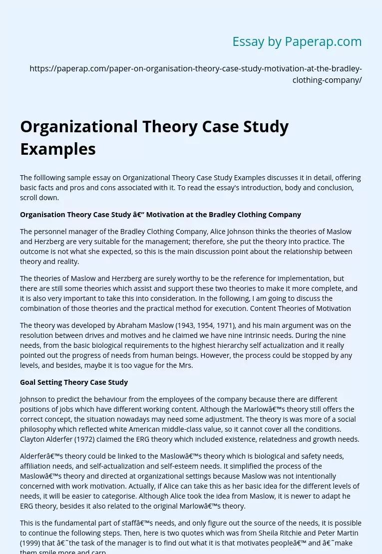 Organizational Theory Case Study Examples