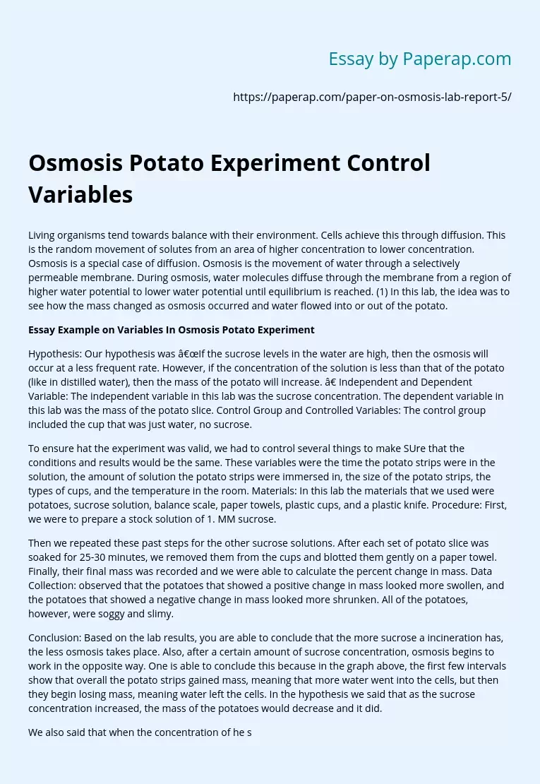 osmosis-potato-experiment-control-variables-free-essay-example