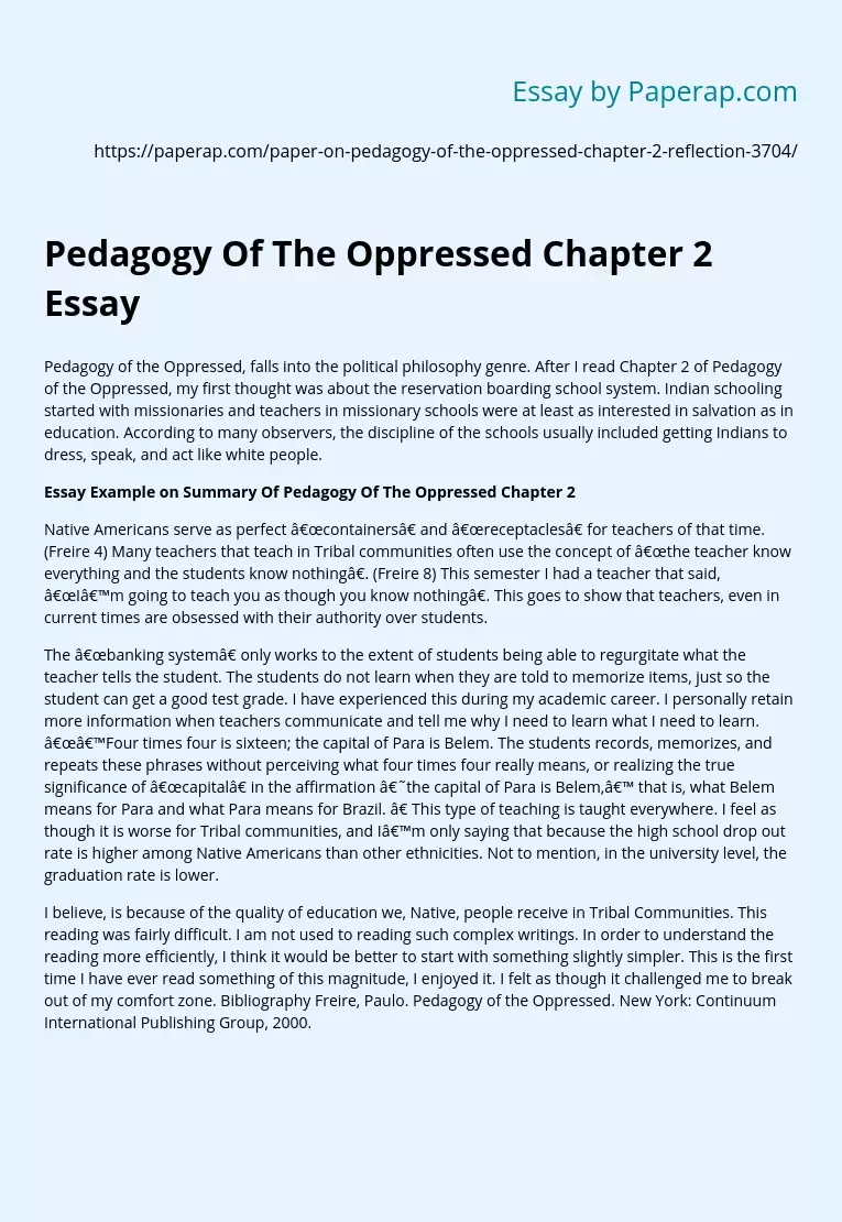 Pedagogy Of The Oppressed Chapter 2 Essay