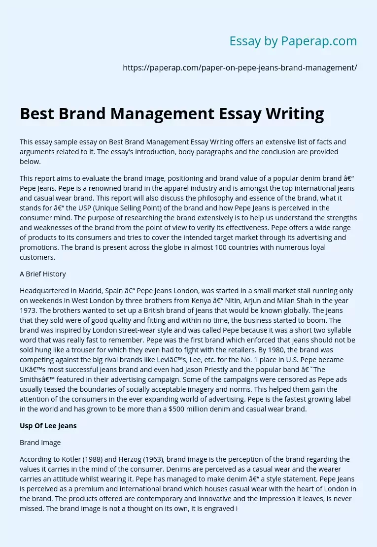 Best Brand Management Essay Writing