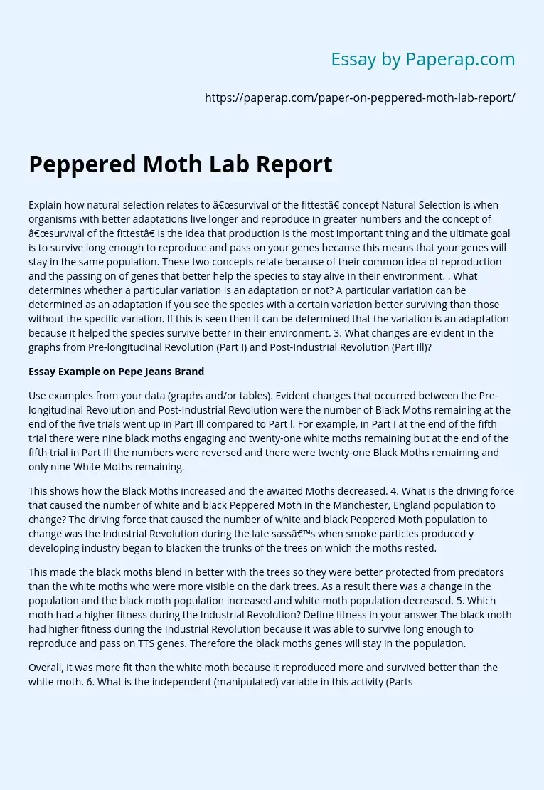 Peppered Moth Lab Report
