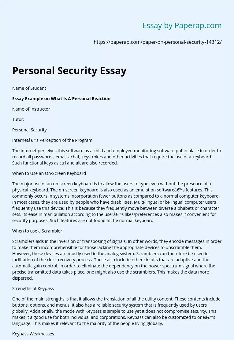 Personal Security Essay