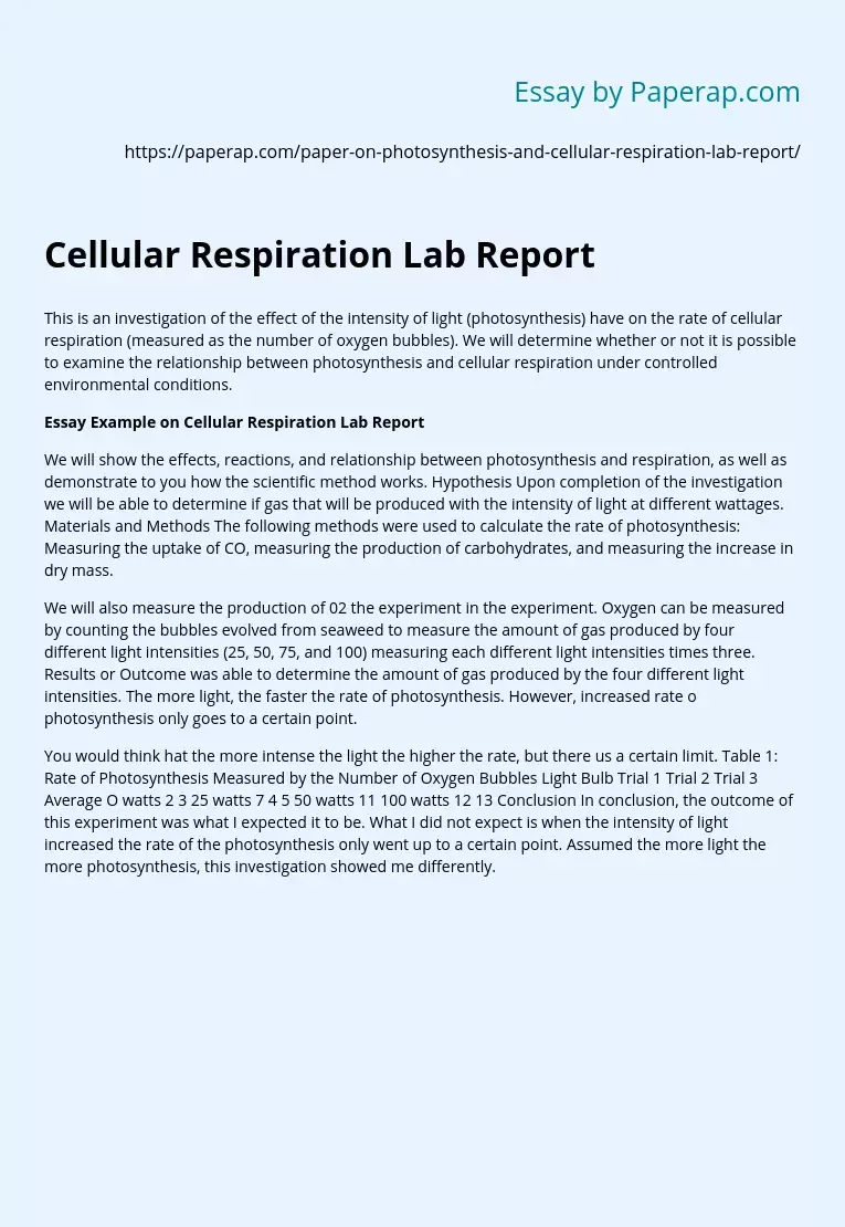 Cellular Respiration Lab Report