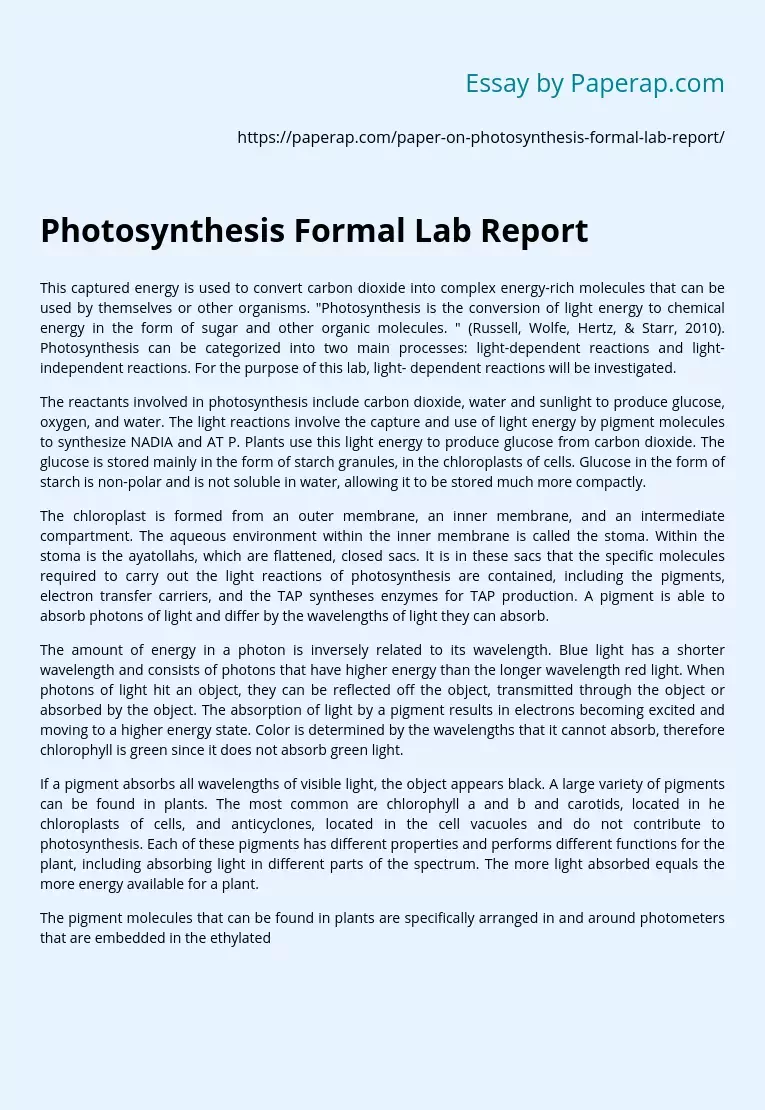 Photosynthesis Formal Lab Report