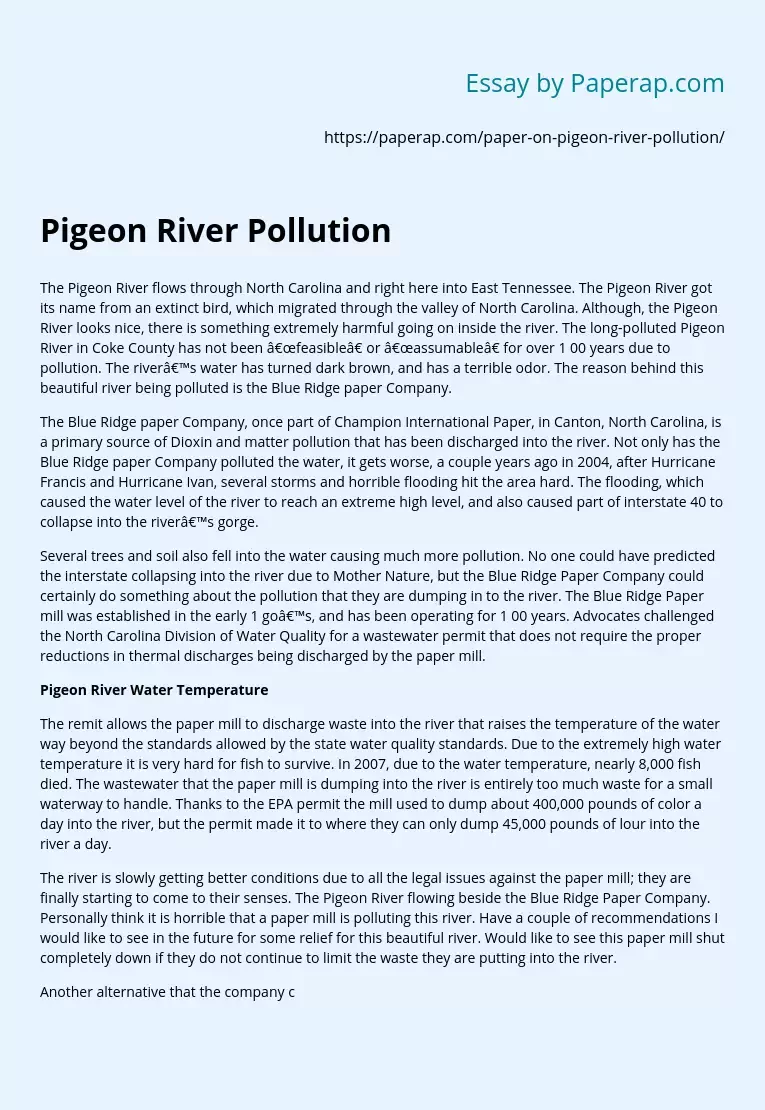 Pigeon River Pollution