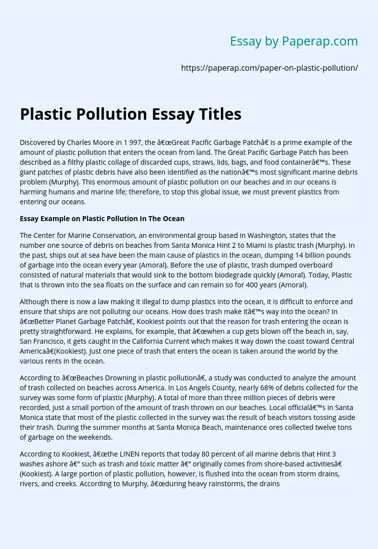 Plastic Pollution Essay Titles