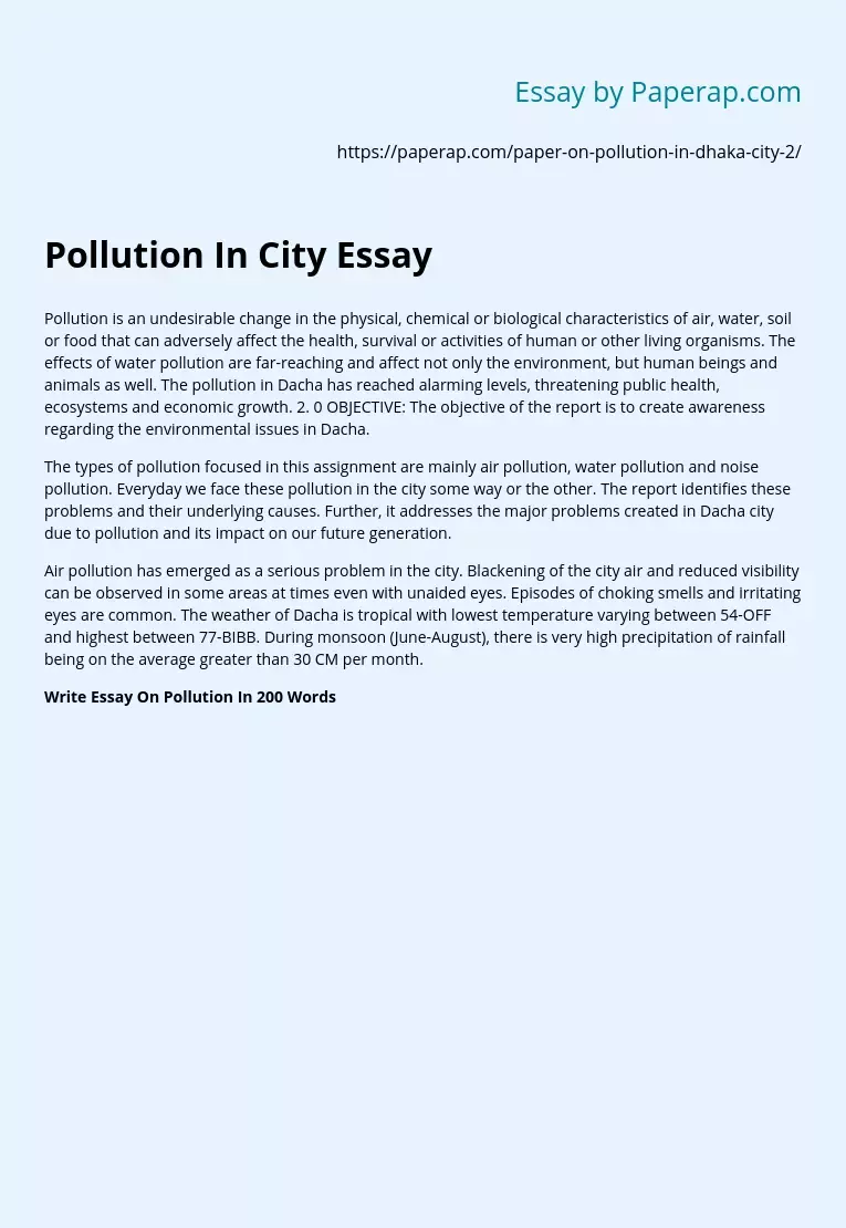 Pollution In City Essay