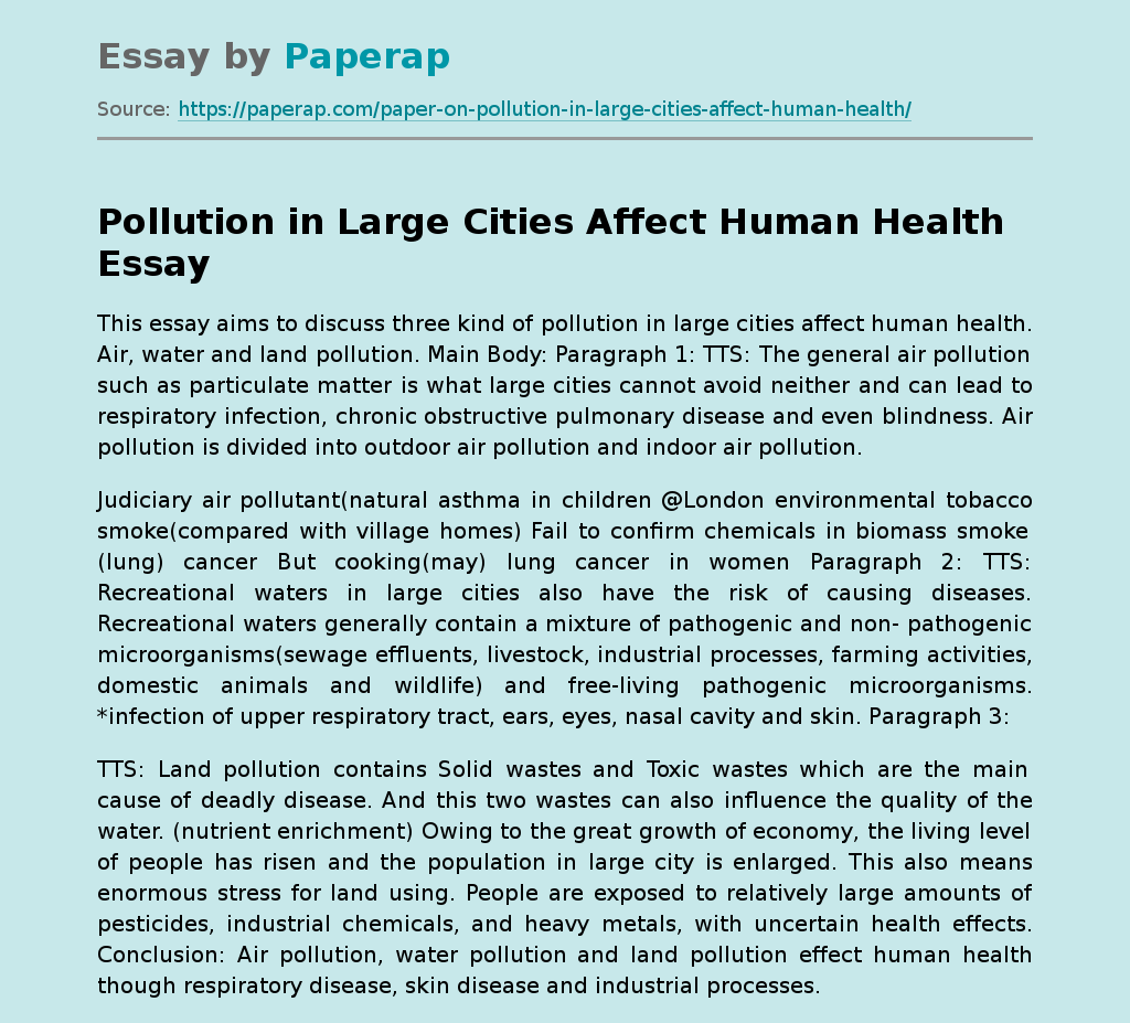 Pollution in Large Cities Affect Human Health