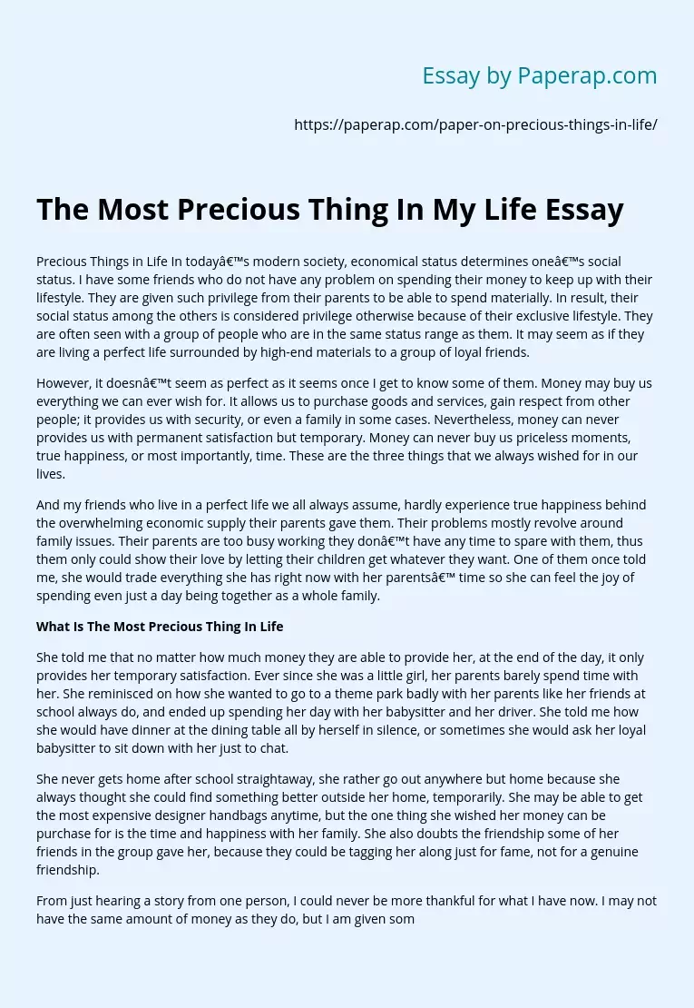 The Most Precious Thing In My Life Essay