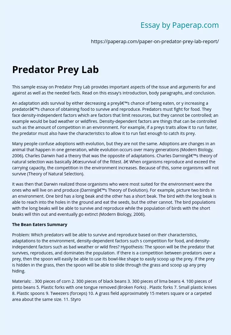 Predator Prey Lab
