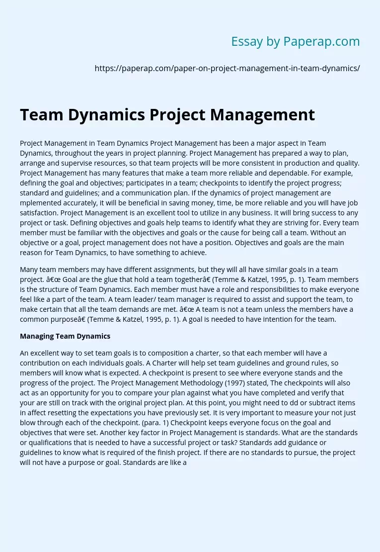 Team Dynamics Project Management