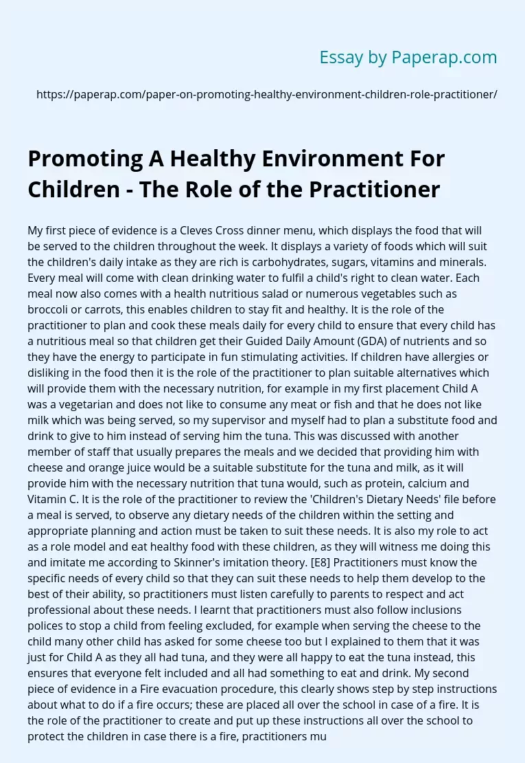 Promoting A Healthy Environment For Children - The Role of the Practitioner
