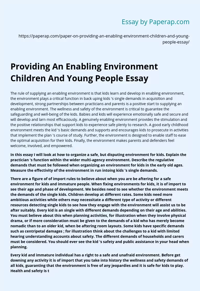 Providing An Enabling Environment Children And Young People Essay