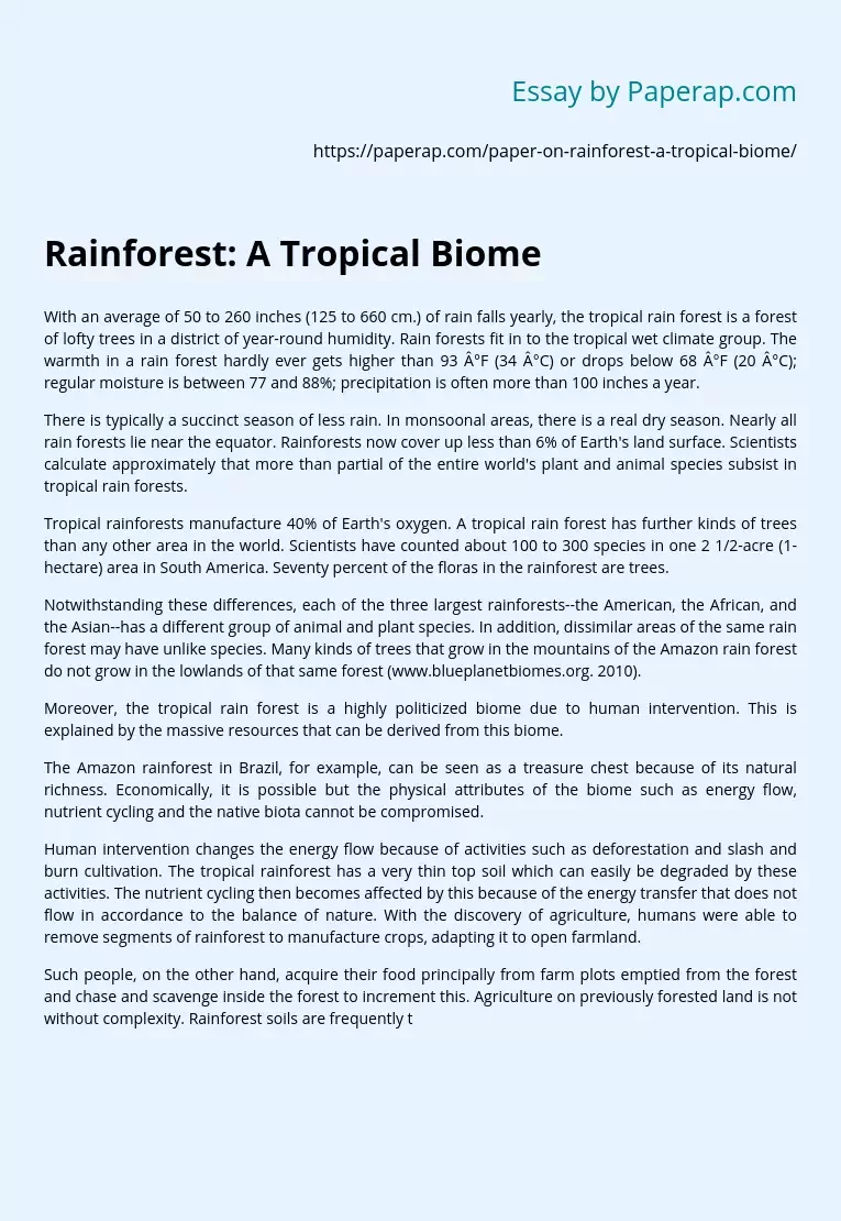 Rainforest: A Tropical Biome