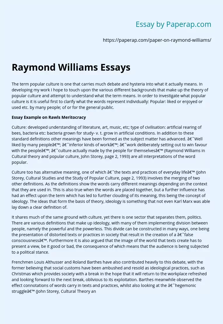 Raymond Williams Essays