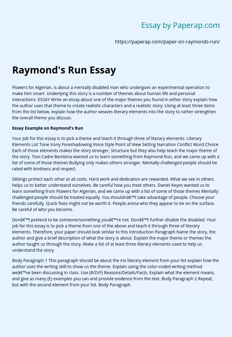 Raymond's Run Essay