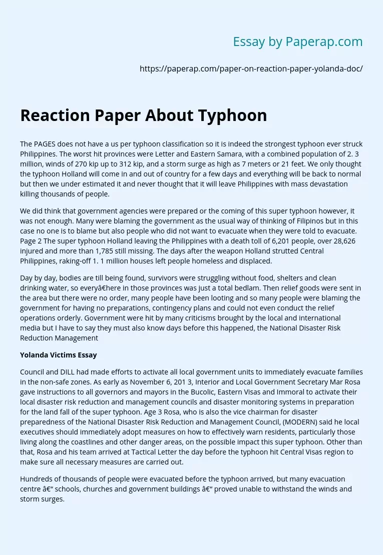 Reaction Paper About Typhoon