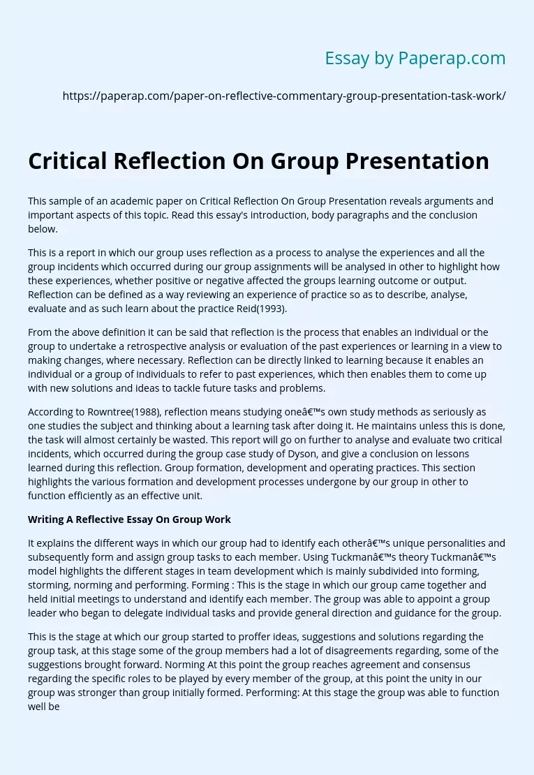 Critical Reflection On Group Presentation
