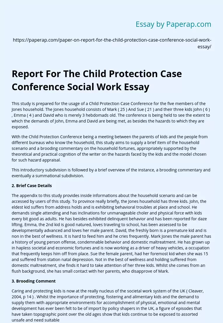 Report For The Child Protection Case Conference Social Work Essay